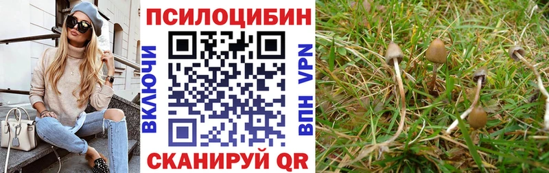 Псилоцибиновые грибы MAGIC MUSHROOMS  Волоколамск 