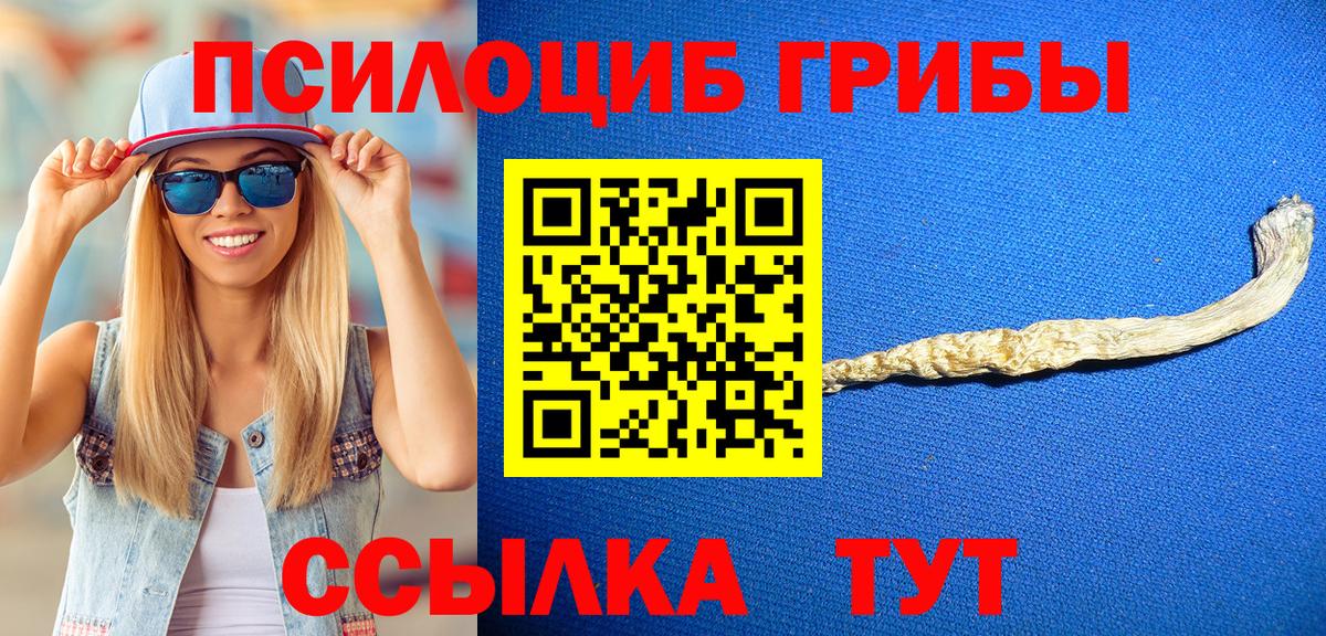 Галлюциногенные грибы Cubensis  Вход с VPN  Галлюциногенные грибы Psilocybine cubensis  Волоколамск 