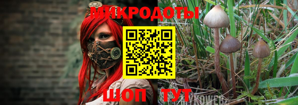 Галлюциногенные грибы MAGIC MUSHROOMS Волоколамск